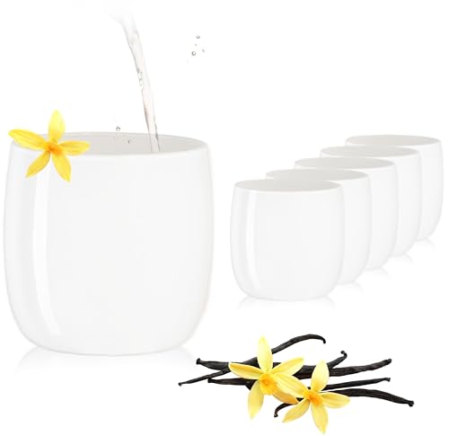 PLATINUX Eleganti bicchieri bianchi in vetro da 260 ml max. 320 ml, set da 6 bicchieri per acqua, succo di frutta, bicchieri da whisky