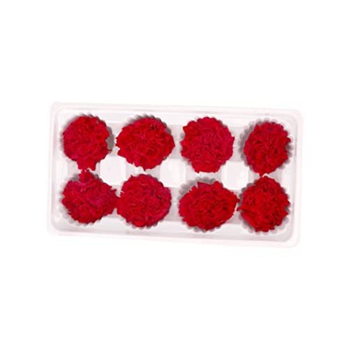 Zerodeko 2pcs Eternal Carnation Flores Secas para Ramo miniatura 4