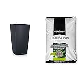 Lechuza