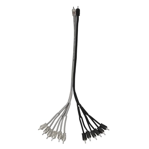 Cable RCA DS18 R2M12M Ultra Flex para mejorar el sonido car audio en concentraciones y viajes