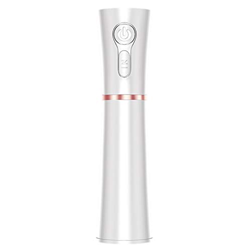 IXROAD Nano Cool Mist Humidificador Facial Spray 2 en 1 Portátil Vaporizador de cara para el cuidado de la piel, spa facial, dormitorio