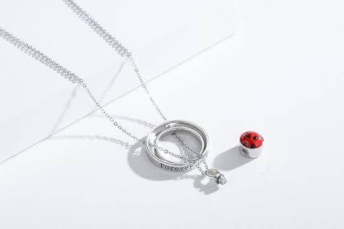 Urn Necklace for Ashes 925 Sterling Silver Locket Pet Human Cremation Ash Keepsake Necklace Memorial Jewelry Gifts for Women3