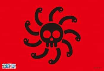 31lFNTeZY-L._AC_UF350,