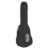 First Act Discovery FC132 Student Guitar Case