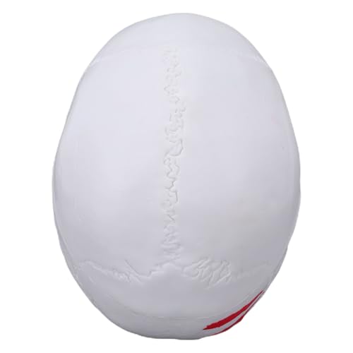 OPPWONG Anatomical PVC Skull Model Compact Display Piece for Educational Use in Classrooms, Labs, and Workshops 4.53x3.35x2.76in for Teachers Students Artists Enthusiasts