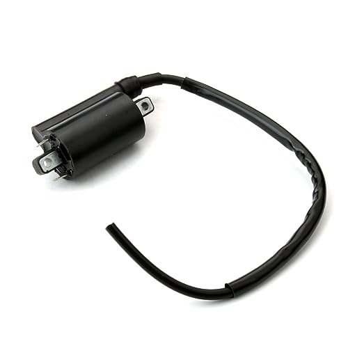 Bobina de encendido para 250cc y 450cc elimina fallos de chispa 7