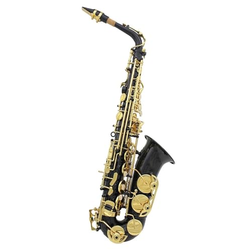 �A���g�T�b�N�X Eb �A���g�T�b�N�X�^�J�{�f�B�T�b�N�X�Z�b�g�v���t�F�b�V���i���؊Ǌy��P�[�X�t�����[�h�T�b�N�X�A�N�Z�T���[(C)