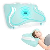 South to East Kid Bed Canopy & Adult Bed Pillow