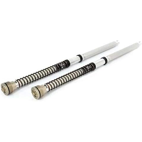 Ohlins 04744-90 Fork Cartridge Kit (Road and Track 30Mm Front 04744-90 R&T 04 Fork Spring 9.0) Cover