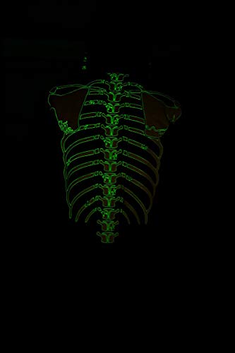 Calhoun Men's Glow In The Dark Skeleton Costume Zip Hoodie (Black, X-Large) #TOP6