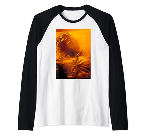 T-shirt Star Wars Han Solo de style baseball raglan à manches orange