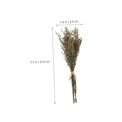 Alipis 6pcs Ramo de Flores Secas Elegante Babys Breath miniatura 2