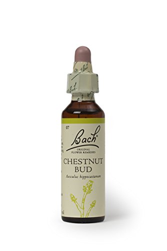 Bach Original Chestnut Bud Flower Remedy 20ml