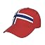 Norway Flag _A000010