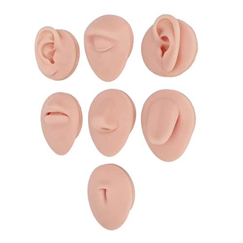 Silicone Piercing Body Model, Simulation 3d Silicone Eyes Ears Nose Mouth Tongue Navel Model 2 Sets of Display Stand Set, Body Piercing Practice Model(Medium Skin Color)