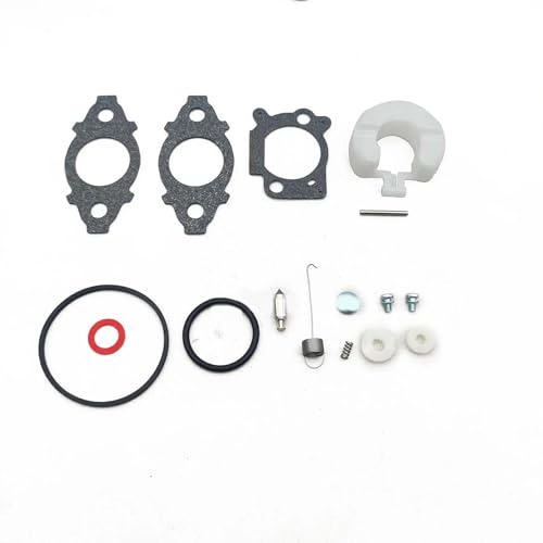 Kit réparation carburateur avec joint Briggs & Stratton 591137 590948