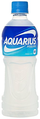 RJR[ ANGAX 500ml PET × 24{ × 2P[Xy4?5cƓȓɏoׁz [sAi]