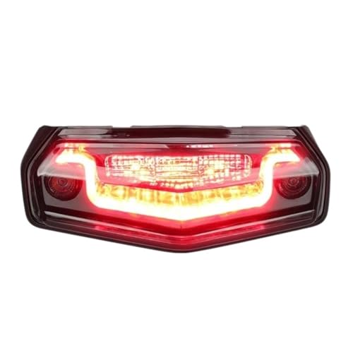 Feu arrière LED pour Tenere 700 et clignotant intégré de remplacement 2019-2023