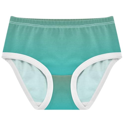 Joisal Camouflage Green Dark Turquoise Gradient Toddler Girls Underwear 2t Cotton Panties Little Girl Funny Briefs Underpants