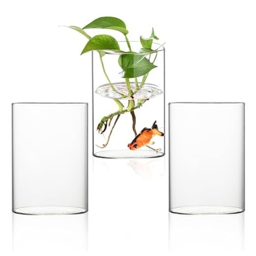 HOMURY Set di 3 vasi cilindrici in vetro: vasi decorativi minimalisti, moderni, vasi in vetro trasparente, per decorazione da tavolo, soggiorno, camera da letto, matrimonio, compleanno, bagno
