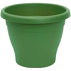 Maceteros Baratos AC - Maceta Mediterránea – Plástico Resistente - Ideal para el Hogar, Plantas, Jardín, Decoración. - Cuidado de Plantas - Forma Redonda – 25 cm – Color Verde