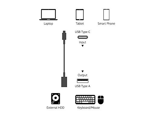 Amazon Basics Adaptateur USB-C 3.1 Gen1 vers USB-A - Noir