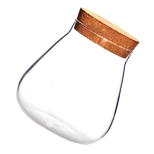 BAZEITFLOW Frasco de Transparente para Plantas Suculentas Jarra Decorativa DIY con Tapón de Corcho para Terrarios y Manualidades Almacenamiento y Exhibición de Plantas para