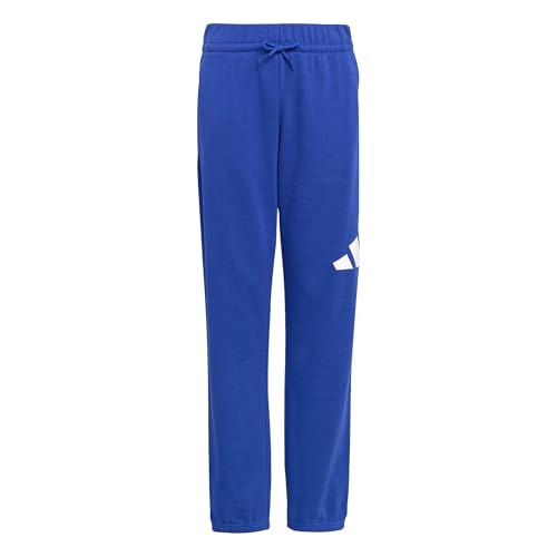 adidas Mixte Enfant Essentials Big Logo Pants, Team Royal Blue/White, 15-16 Years