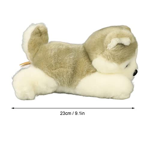 Opiniones y reviews de Peluche curro listamos los 10 mejores. 26 Imagen adicional