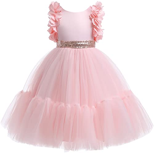 Weileenice Big/Little Girls Dress Butterfly Sleeve Ruffle Tulle Kids Princess Wedding Pageant Party Tutu Dresses