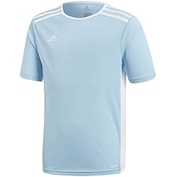 adidas Entrada 18 JSYY T-Shirt, Boys, Clear Blue/White, 5-6Y