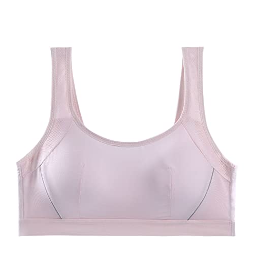 [FateMaster] K[Y u hȂ X|[cu n Vv ʋC   XN[u    uW[  iCgu w Z w g150-170cm 30-70kgɑΉ (sN,L,