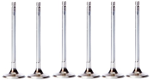 AE V94198 VAclvula de admisiAn (6 piezas)