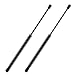 Hood Lift Supports for 1998-2005 Lexus GS300,1998-2000 GS400,2001-2005 GS430, 4536 (Pack of 2)