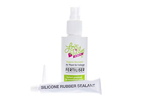 Biotope Aquatics Ltd - AIRPLANT FERTILISER & GLUE - easy to care for your tillandsia