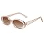 C5 Light Brown Frame/Brown Gradient Lens