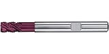 weitere Info's Schruppfräser WN LR X SPEED 8,0 mm HB Z 4 HR FORMAT