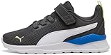 Puma Industries