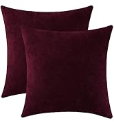Jeneoo Rustic Farmhouse Burgundy Throw Pillow Covers (Set of 2, 20x20")