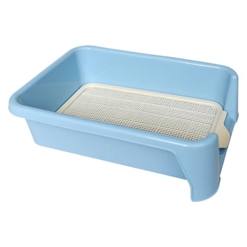 Lamantt^p̑^S[fgo[ppgCŁA񂿂𓥂ł܂̂h܂BgCpi (,)