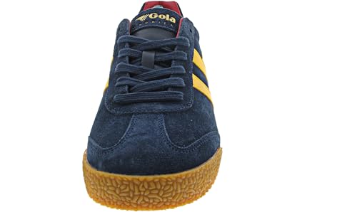Image of Gola Harrier