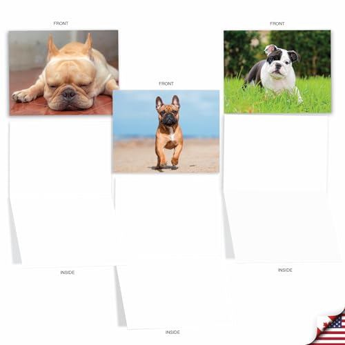 Cartes vierges chien bouledogue pour ne plus jamais manquer de carte de vœux