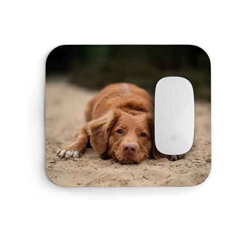 Hippowarehouse Personalised Photo Printed Mouse Mat Pad Accessory Black Rubber Base Collage Option Home Office Fathers Day Teacher Present 240mm x 190mm x 60mm Cover