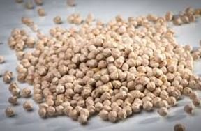 Raw Chick Peas -22Lbs