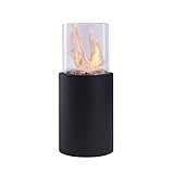 Danya B. Indoor/Outdoor Portable Tabletop Fire Pit – Clean-Burning Bio Ethanol Ventless Fireplace...