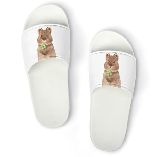 [MOLIHUACHA] NIbJƎlt̃N[o[ Xbp T_ Y fB[X  [V[Y r[`T_ V[p y ~ R hL ʋC  qp Op ėp 