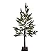 Holiday Wonderland Ledup Manufacturing Group 266830 4 ft. Christmas Australian Pine Tree, Warm White