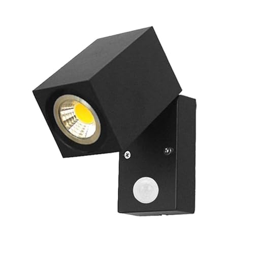 Applique extérieure induction anti chute lampe murale LED orientable entrée garage