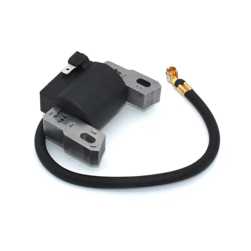 Bobine d'allumage 790817 pour réparer les ratés de démarrage du moteur 493237