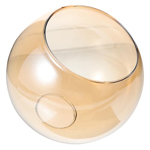 Homoyoyo Paralume in Vetro Trasparente Sfera con Doppia Apertura per Lampade Paralume Ricambio per Lampadari Sospensione Moderno Cucina e Camera da Letto